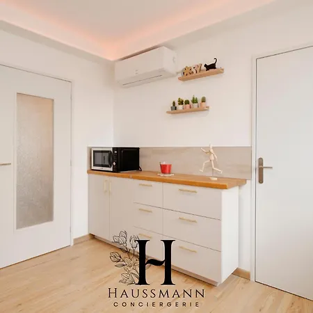 Apartment Familial 3 Avec Parking Prive Nancy